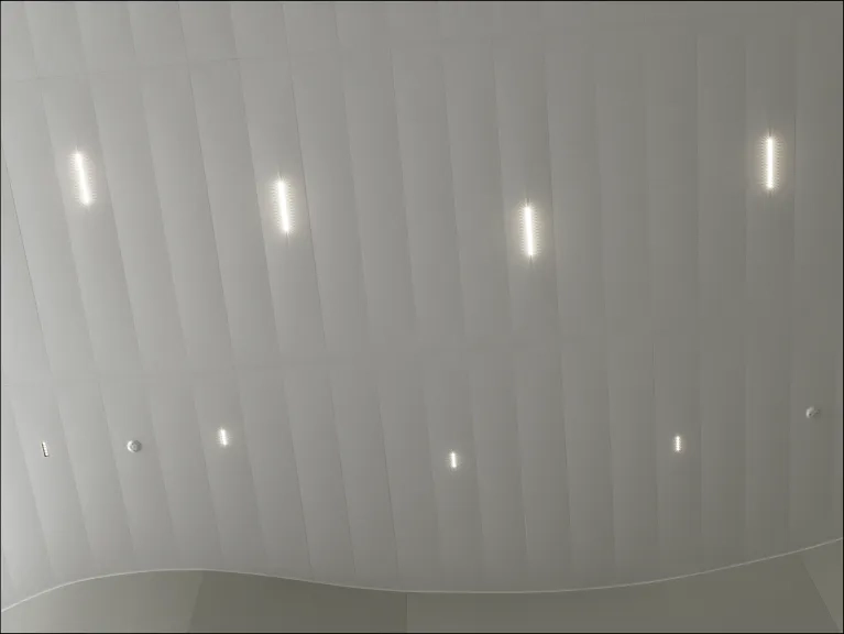 nicolas-feuillatte-plafond-2018