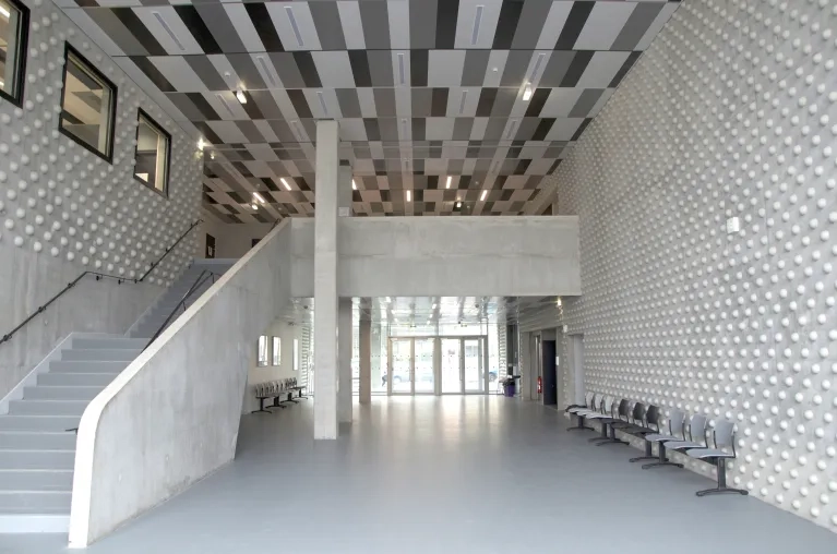 École dentaire de Clermont-Ferrand plafonds métalliques