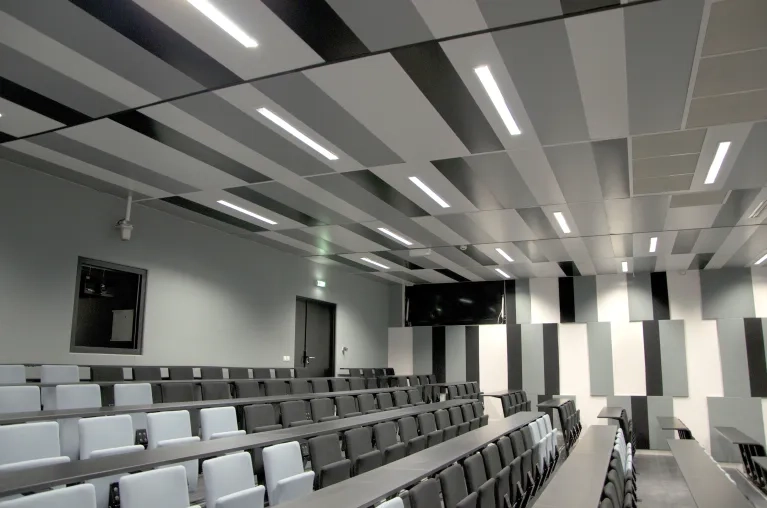École dentaire de Clermont-Ferrand plafonds métalliques