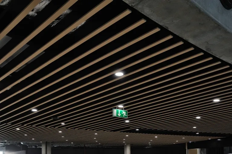 aeroport-st-exupery-plafond