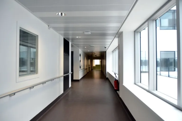 Hôpital-de-Chambery-plafonds