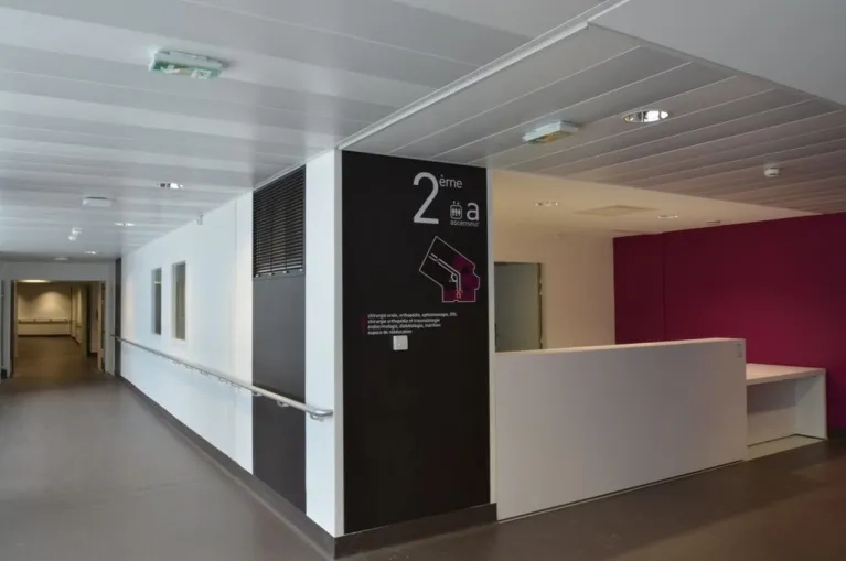 Hôpital-de-Chambery-plafonds