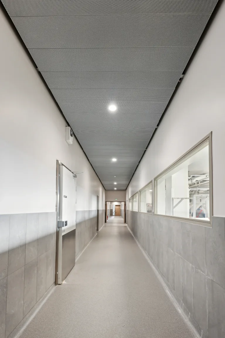 SEPR-ANNONAY-SCOLAIRE-MESH-PLAFOMETAL
