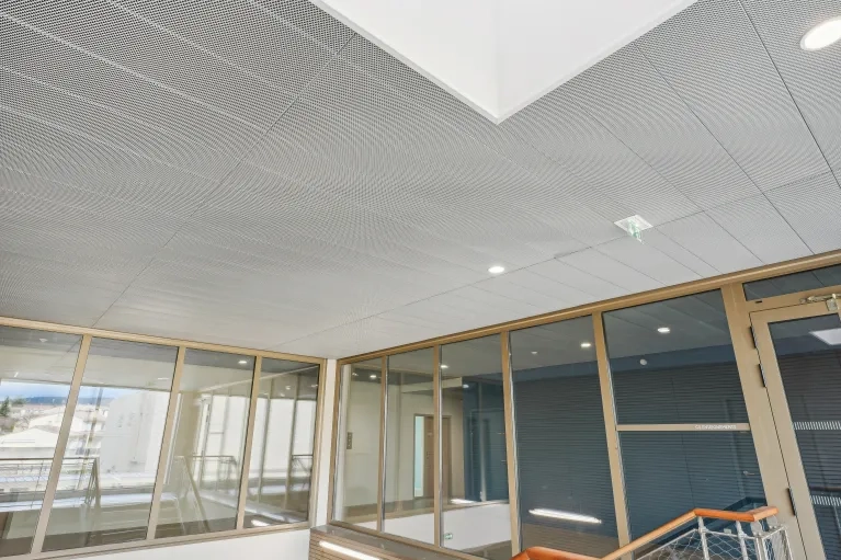 SEPR-ANNONAY-SCOLAIRE-MESH-PLAFOMETAL-