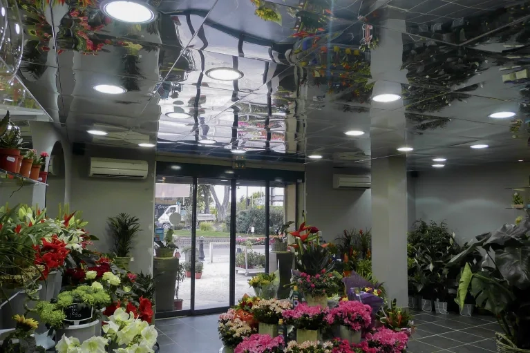 fleuriste-mirroir-finition-plafometal.jpg